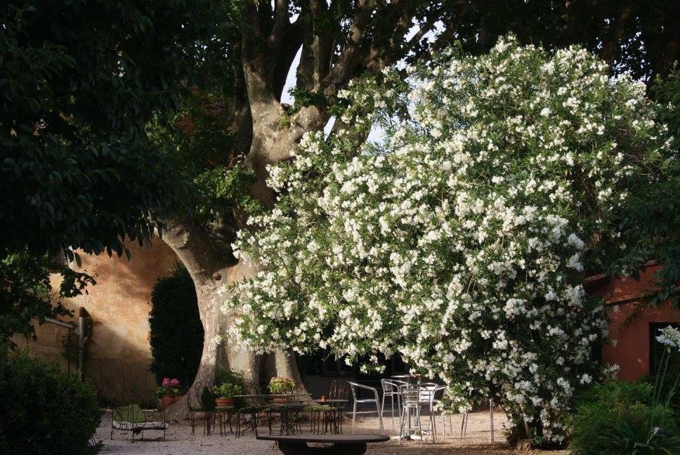 Le Bourguet Acomodação com café da manhã Solliès-Pont Exterior foto
